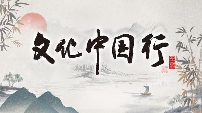 阴阳开合动功十二式，传统养生与现代生活的和谐交融