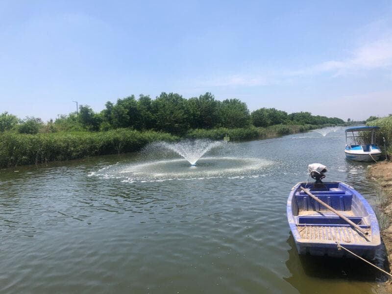 江苏本地蟹中秋缺席，大闸蟹价格飙升翻倍