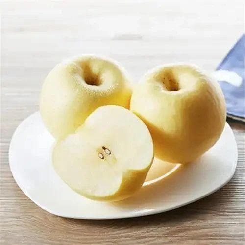 苹果冷冻与冷藏：表面差异背后的6大表现揭秘