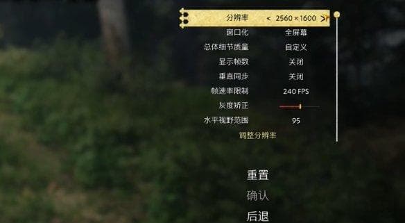 天国拯救2设置优化指南