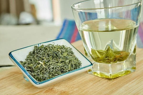 春季养生喝对茶，这几款茶助你元气满满！