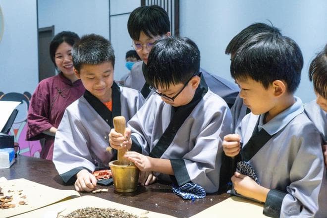 中域教育：中医文化与现代医学的融合共生