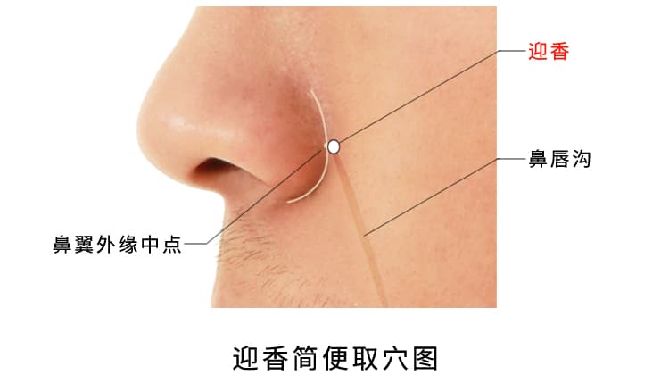 迎香穴：手阳明大肠经上的重要穴位，位于鼻翼外缘两侧