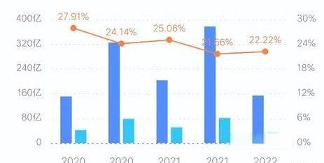 应对债务困扰：全面策略教你如何调整心态并逐步摆脱财务压力