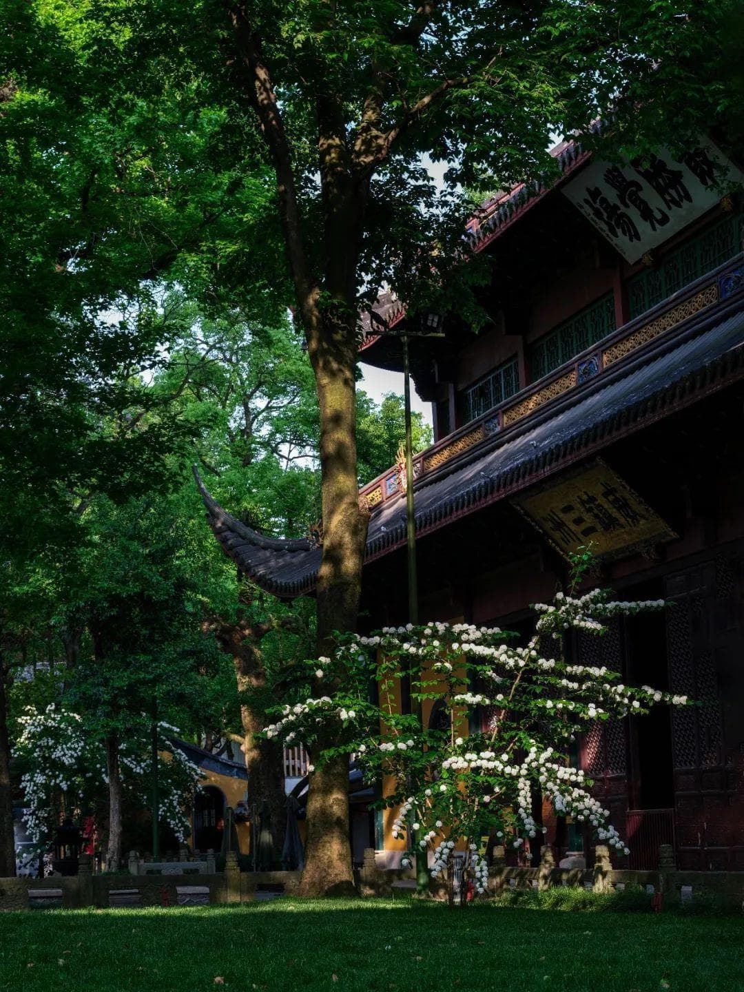 参访寺院：来灵隐寺参观礼佛，这份入寺指南请收好！