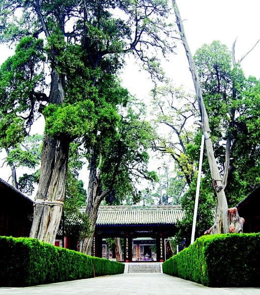 八千年前神话里的伏羲传说　在天水有了回音……