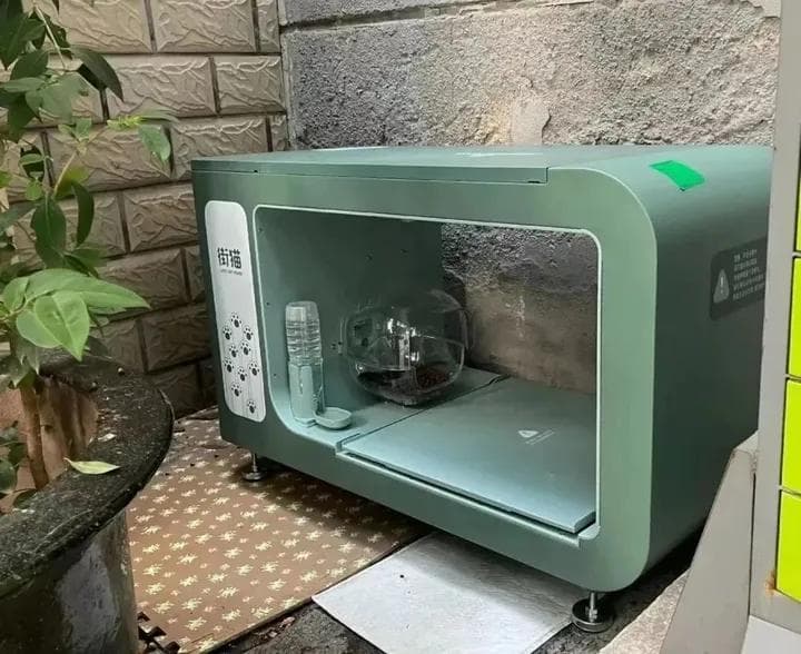 在“爱猫TV”里，一个爱猫人士也没有