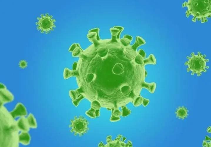 新冠病毒疫情是哪一年开始的？