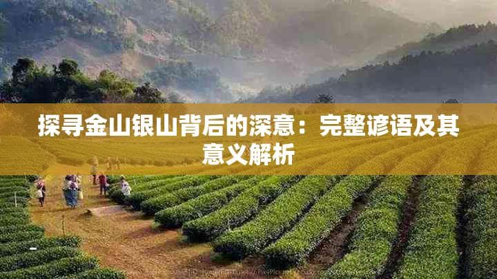 探寻金山银山背后的深意：完整谚语及其意义解析