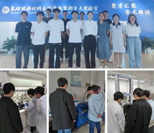 【产业教授】高性能有机硅弹性体开发——江西师范大学产业教授廖洪流案例推介