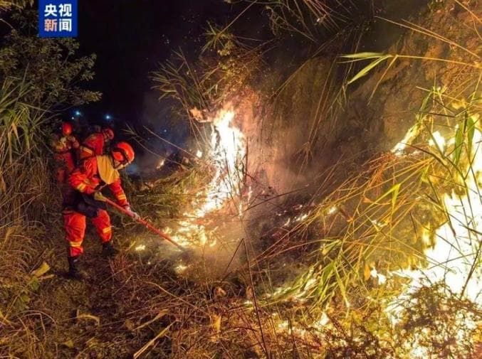 森林防火知识：十个“不准”保林区安全