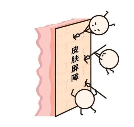温和修复护肤技巧，重塑健康肌肤屏障