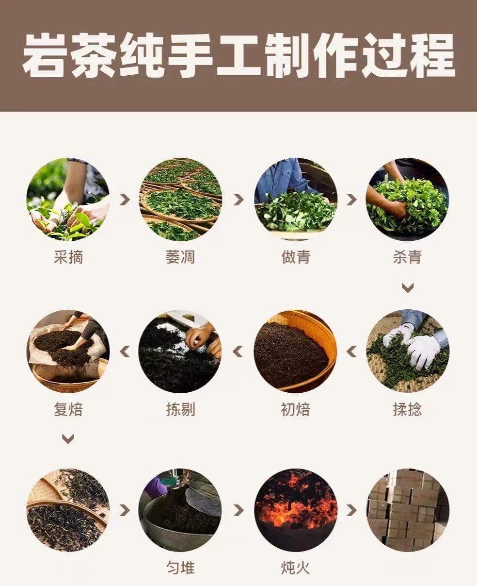 武夷岩茶的现代工艺与传统工艺比较