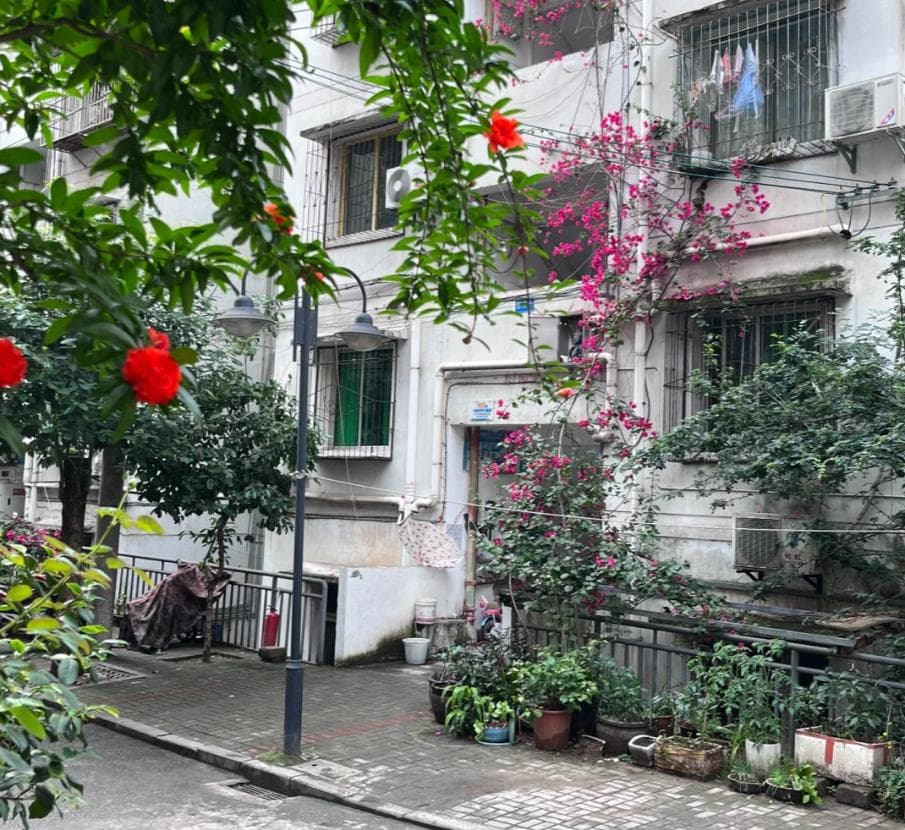 为啥越来越多人搬离“老破小”？中介说出了大实话，太真实了