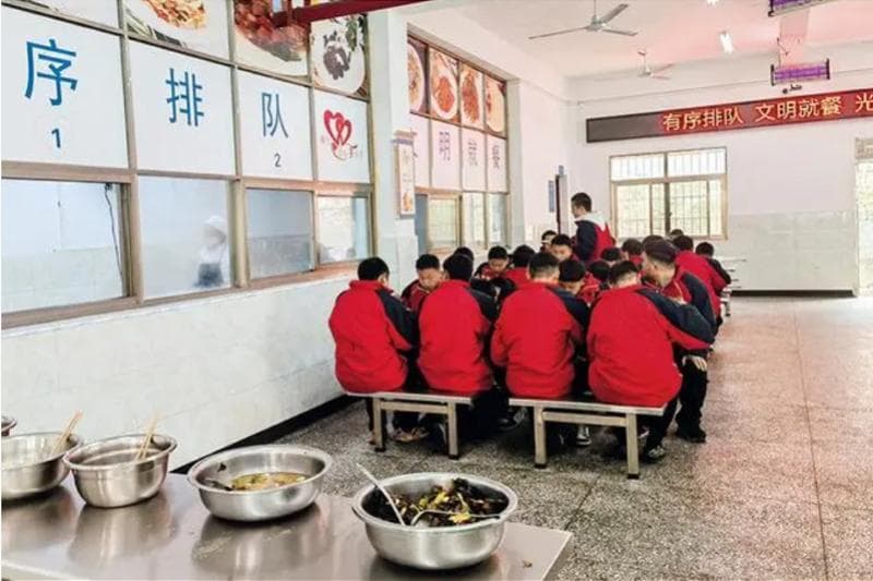 犯事后不负刑责照常上学，“少年犯”该咋惩戒？少管所还在吗