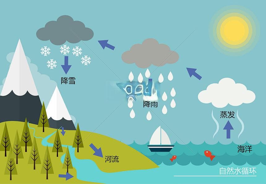 水的旅行：地球上水循环的奇妙过程