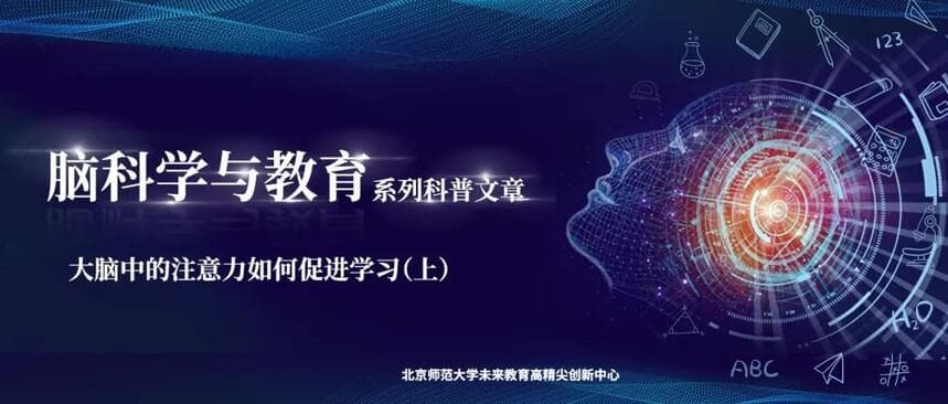 解码注意力：神经机制、学习影响与ADHD诊断