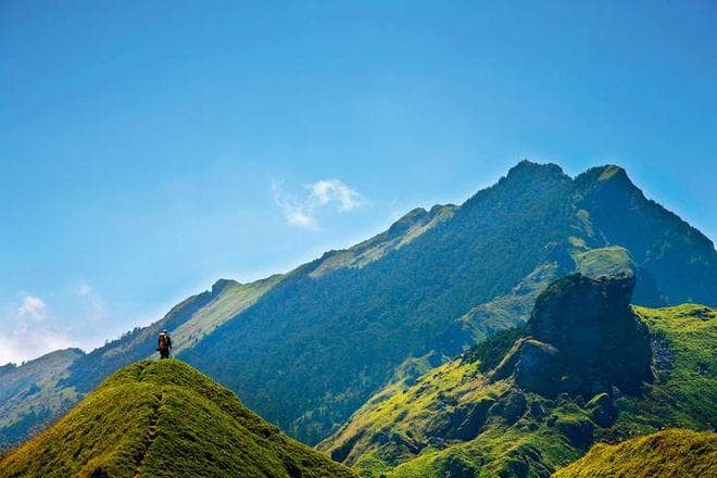 什么样的台湾高山茶值得买？