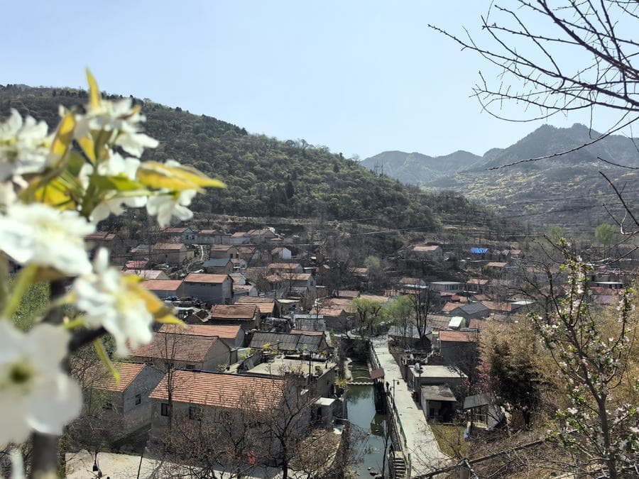 畅游齐鲁 乐宿山东｜听泉赏花住民宿！来这些地方感受春日田园风光