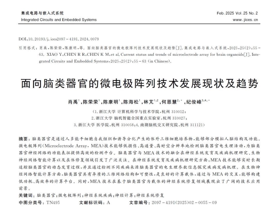 脑类器官与微电极阵列技术成为探索大脑奥秘的新钥匙