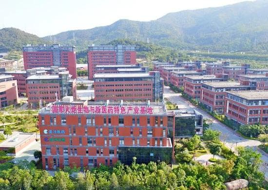 多年持续“铺路”，厦门这些产业驶上了“高速公路”