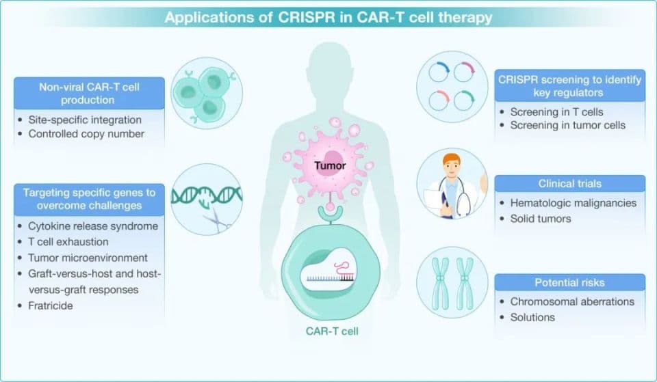 hLife Review | CRISPR技术在CAR-T疗法中的应用