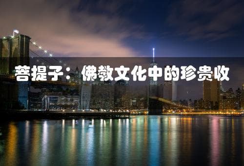 菩提子：佛教文化中的珍贵收藏与实用价值解析