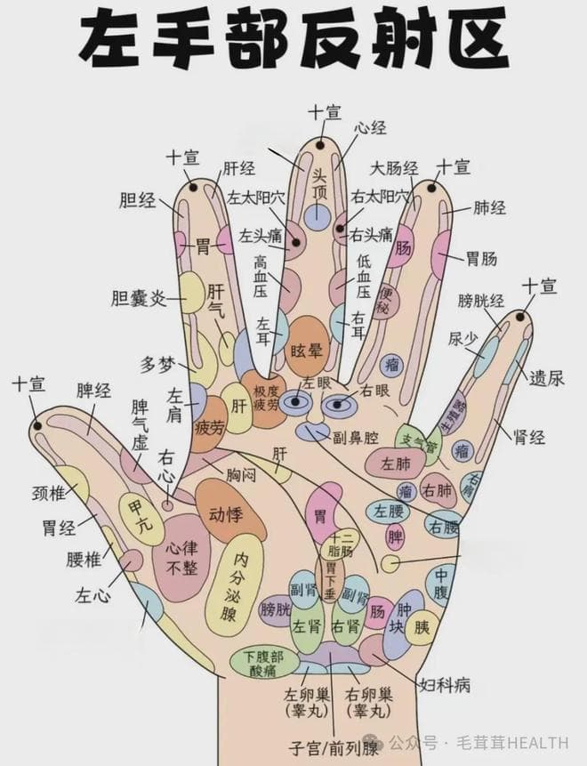 中医手诊全解：从手掌看健康