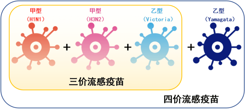 今年的流感疫苗，打3价还是4价？