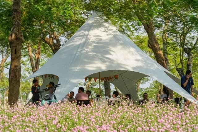 超5万人次！横琴公共生态空间成为旅游热点