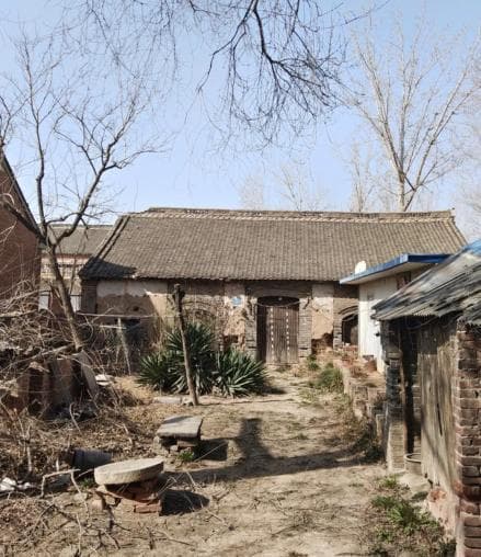 看起来“淡淡的”年轻人，在你看不到的地方展露锋芒