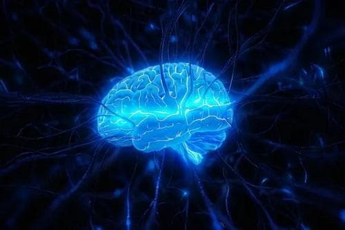 量子奇境VS佛学智慧——正确对待科学与佛学的比较研究