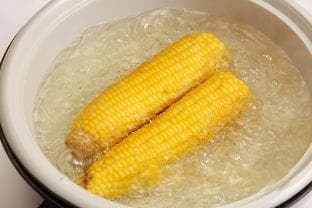 熬鸡汤都放什么调料最好喝，清炖鸡汤的正确方法