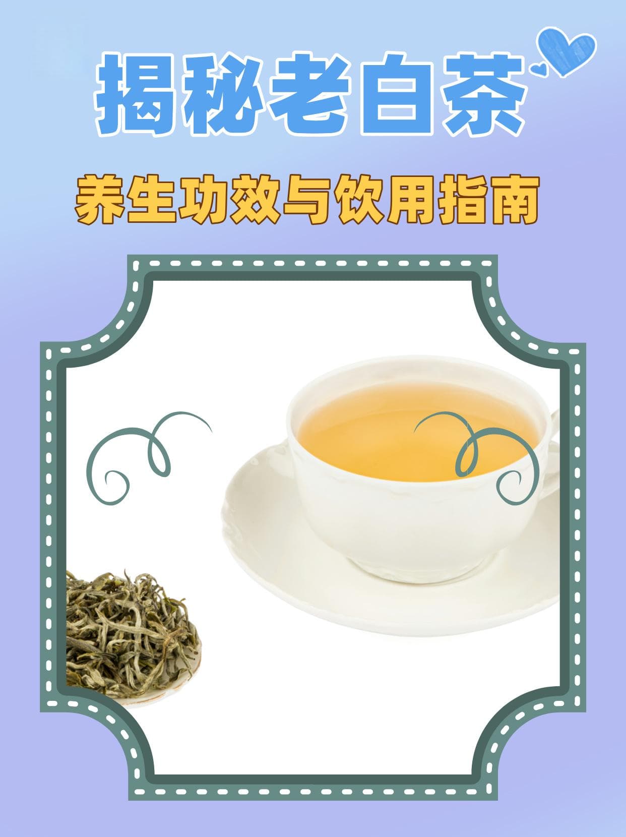 揭秘老白茶：养生功效与饮用指南