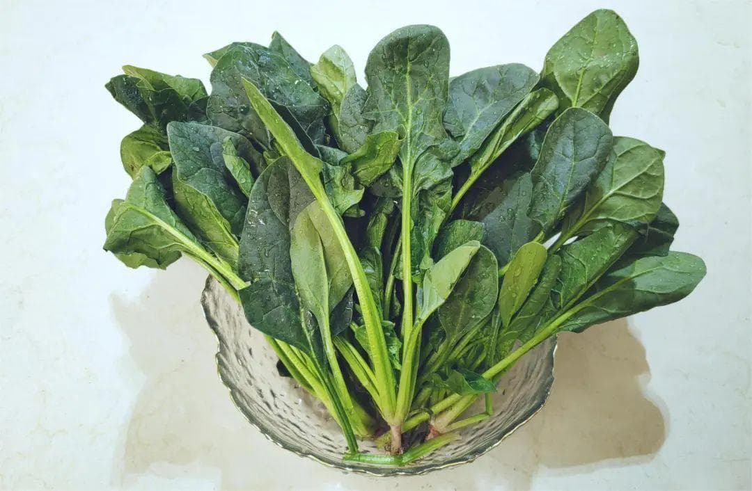 从大力水手到抗衰秘密武器——菠菜，你的健康守护神