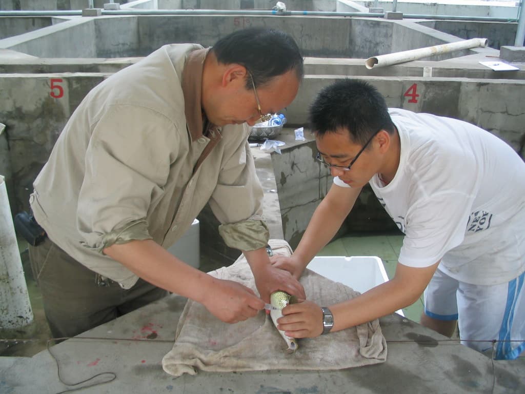 水产养殖技术学科
