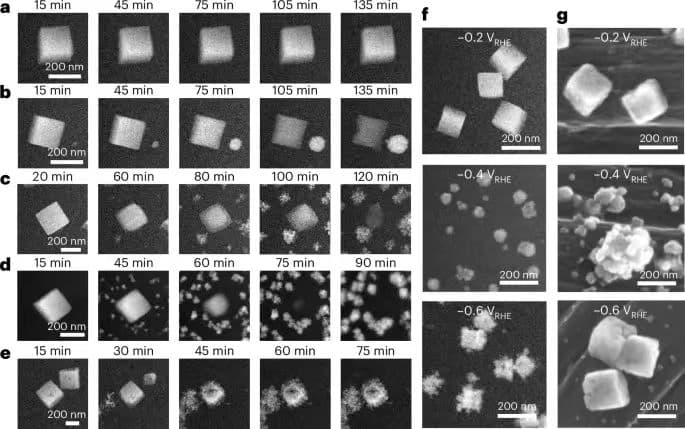 电催化新突破：Nature Materials揭示Cu2O催化剂重构机制