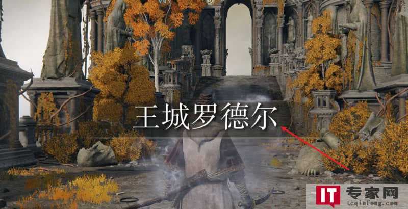 在泰拉瑞亚游戏中,打败月亮领主的关键步骤是什么
