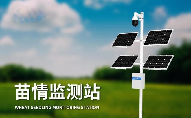 水稻苗情监测分析：提升水稻生长管理的关键技术