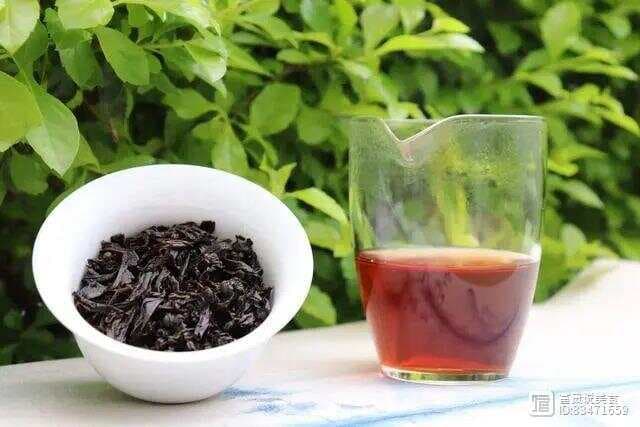 肉桂是什么茶种？乌龙茶中的香气王者！