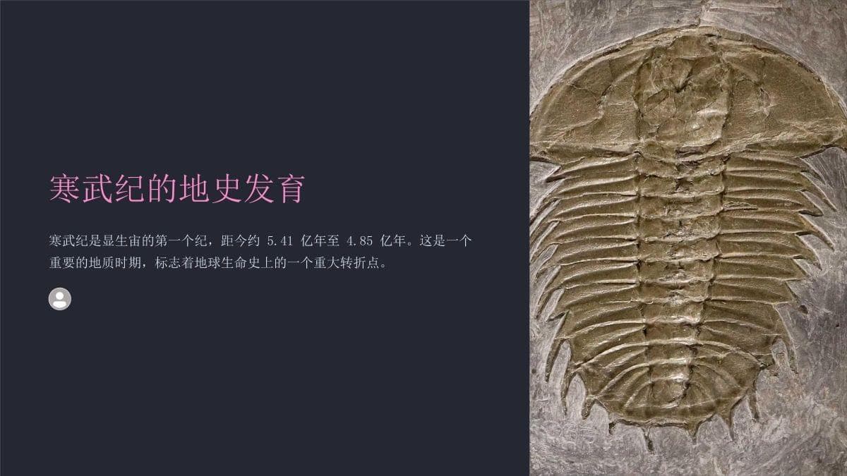 寒武纪的地史发育