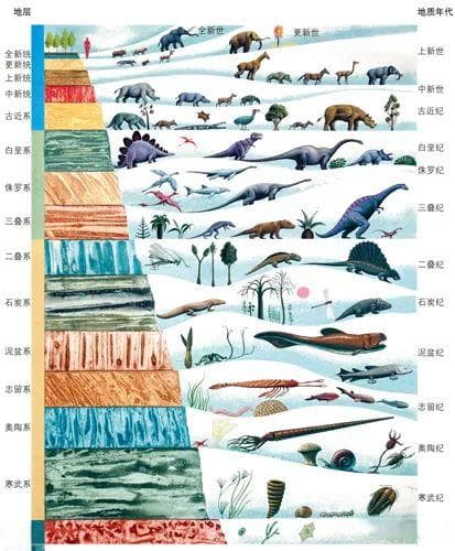 如何进行地层划分？——谈谈年代地层、岩石地层与生物地层