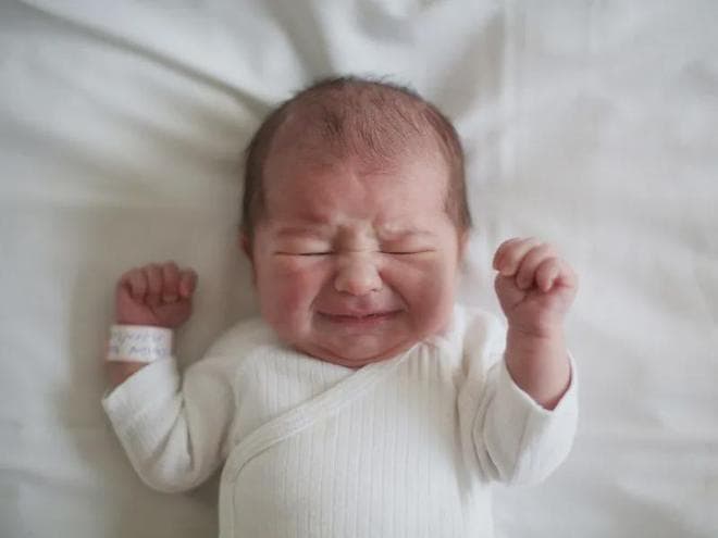 动物幼崽生下来就能走，人类婴儿为何不行？