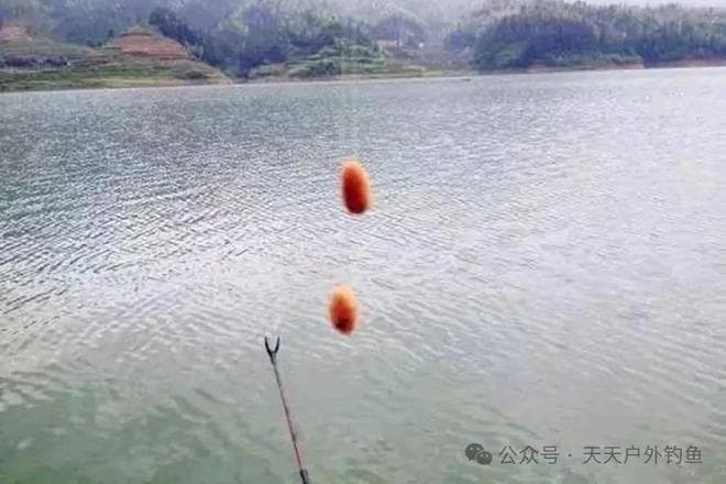 详解带饵调漂：方法最科学，钩饵状态最多，堪称万能