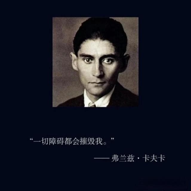 从社会学看卡夫卡的《变形记》