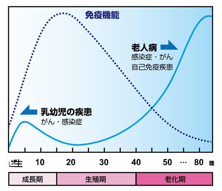 5万日元测免疫力：抽血检查淋巴细胞类型