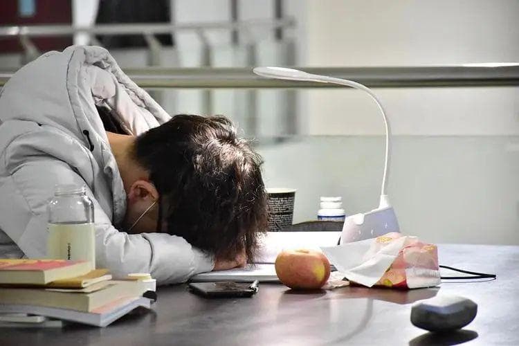 跨学科考生备考指南：如何快速适应新领域