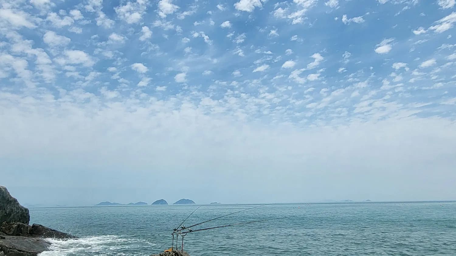 南油海钓攻略：骨灰级钓友分享深海钓鱼秘籍
