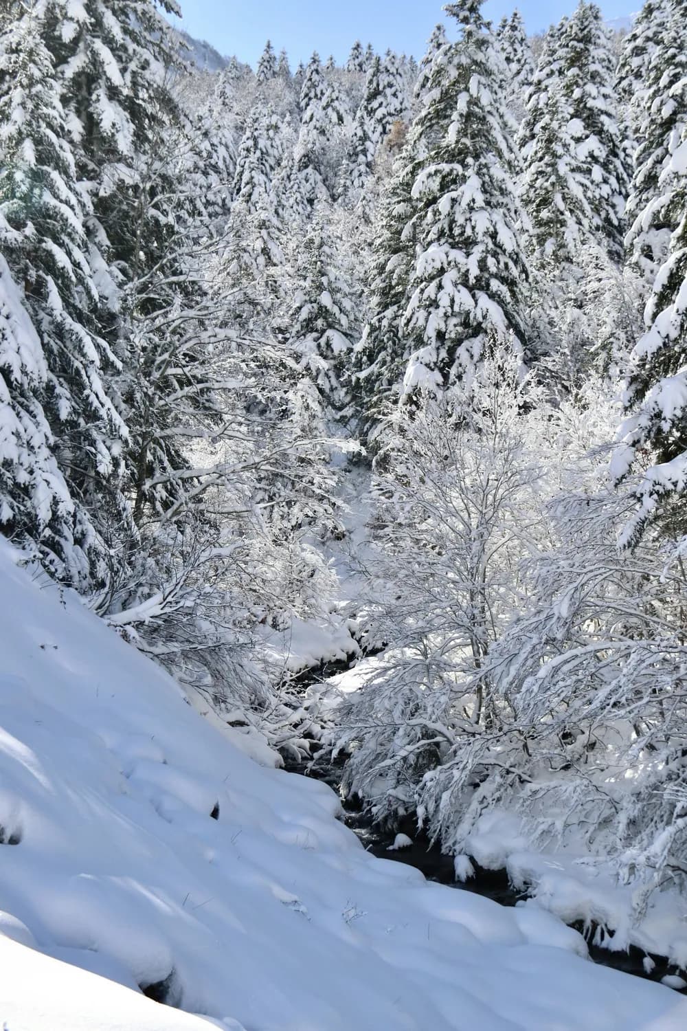 海螺沟：贡嘎山下的冰雪温泉，中国最大冰瀑布所在地