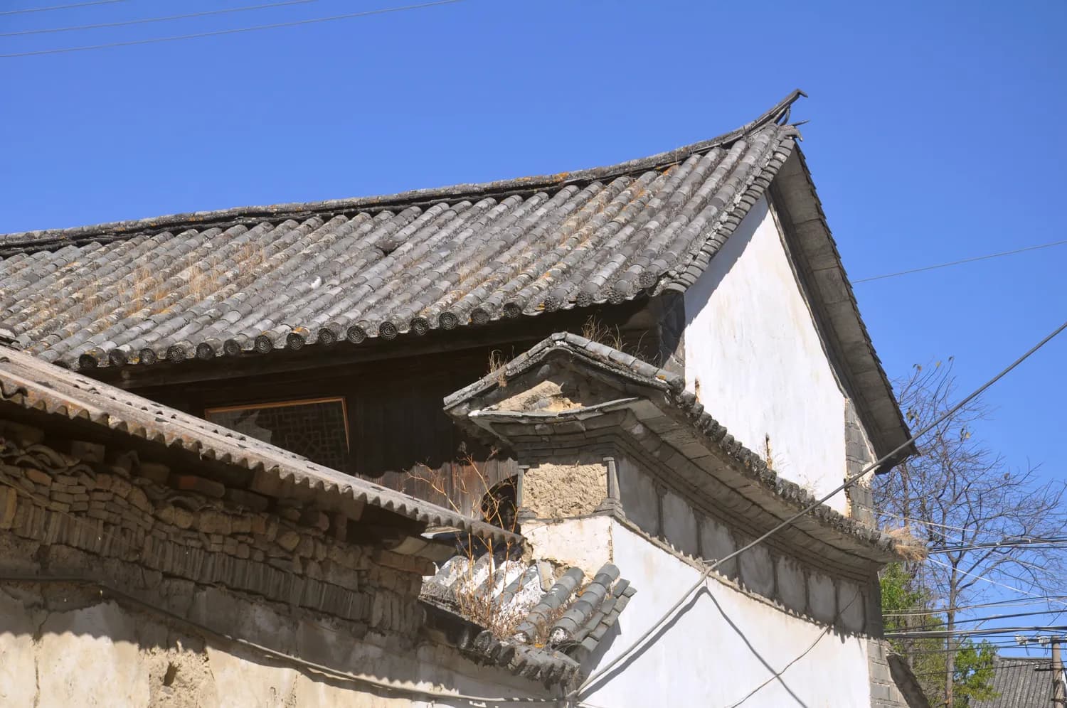 河南方言中的“噫”和“中”：数千年传承的文化密码